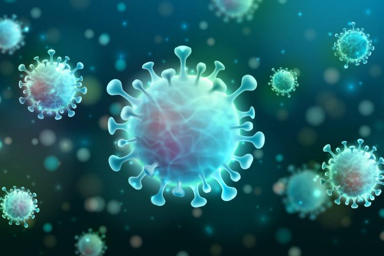 Older Adults Exhibit Stronger Immunity Against Bird Flu, New Penn Study Reveals